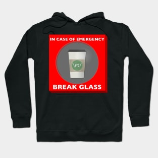 In case of Emergency, Break Glass Hoodie